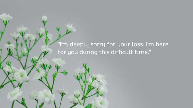 Messages To Someone Who Lost Someone